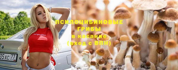 PSILOCYBIN Баксан