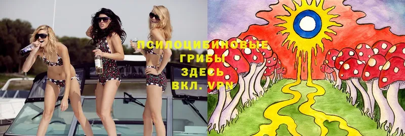 Галлюциногенные грибы Magic Shrooms  МЕГА онион  Дальнереченск 